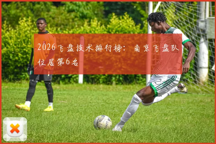 2026飞盘技术排行榜：南京飞盘队位居第6名