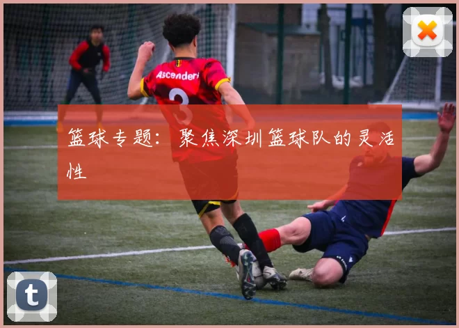 篮球专题：聚焦深圳篮球队的灵活性