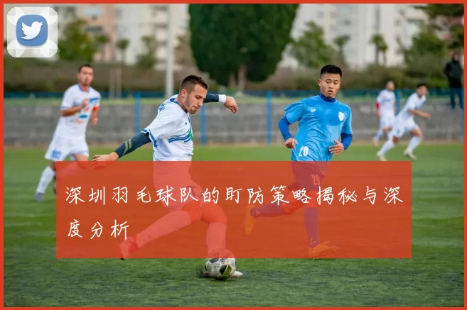 深圳羽毛球队的盯防策略揭秘与深度分析