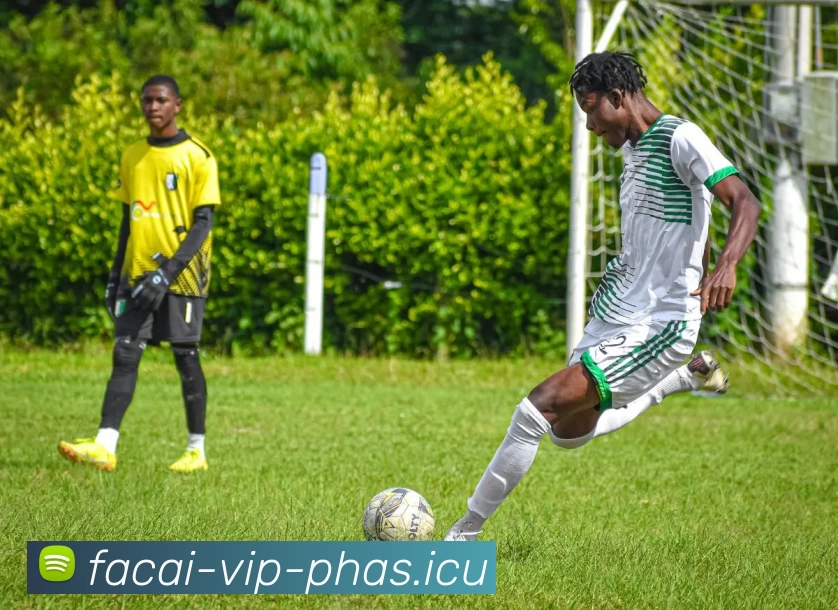 MK体育平台生态图